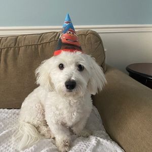 Meet your Posher, Mary